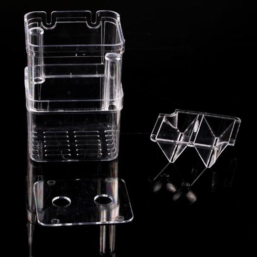 想輕松孵化小魚？這魚缸孵化盒你得知道！